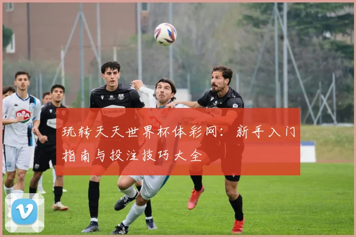 玩转天天世界杯体彩网：新手入门指南与投注技巧大全