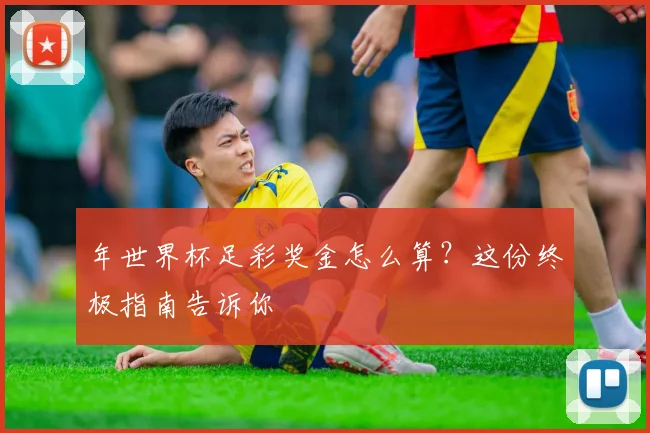 年世界杯足彩奖金怎么算？这份终极指南告诉你
