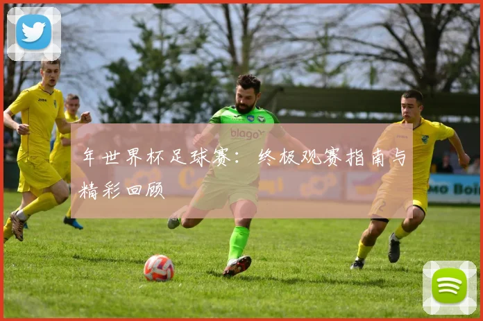 年世界杯足球赛：终极观赛指南与精彩回顾