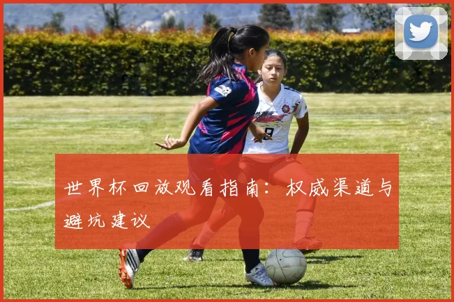 世界杯回放观看指南:权威渠道与避坑建议