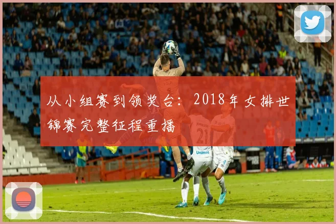 从小组赛到领奖台:2018年女排世锦赛完整征程重播