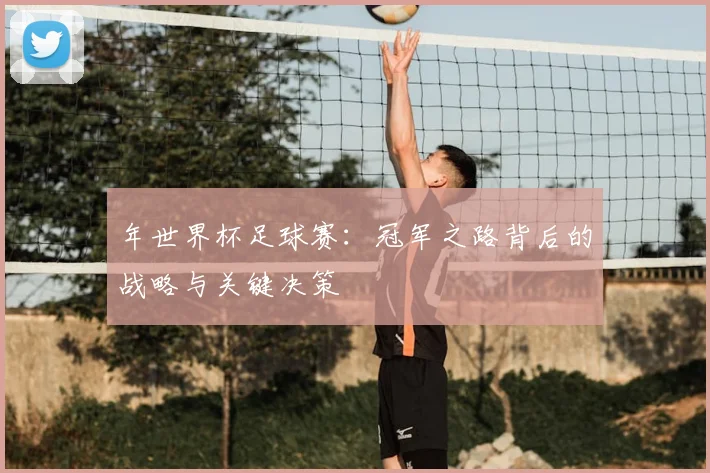 年世界杯足球赛：冠军之路背后的战略与关键决策