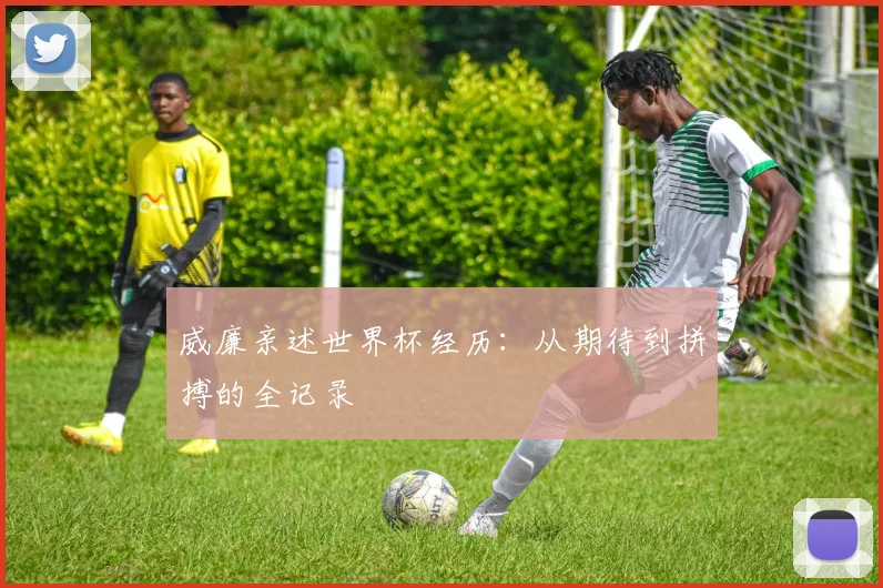 威廉亲述世界杯经历:从期待到拼搏的全记录