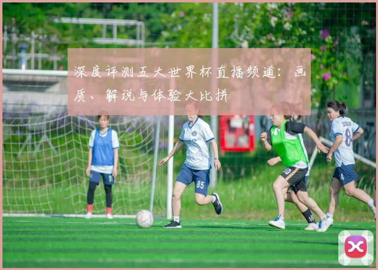 深度评测五大世界杯直播频道:画质、解说与体验大比拼
