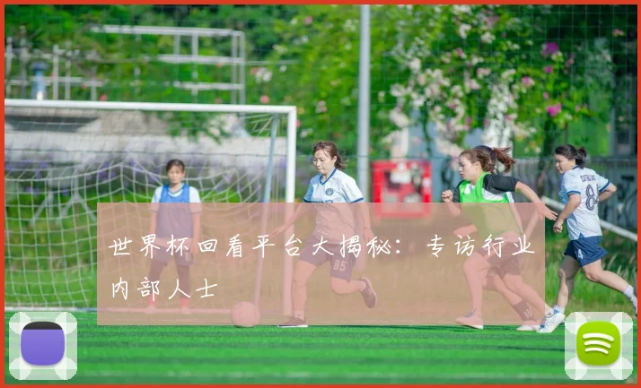 世界杯回看平台大揭秘:专访行业内部人士
