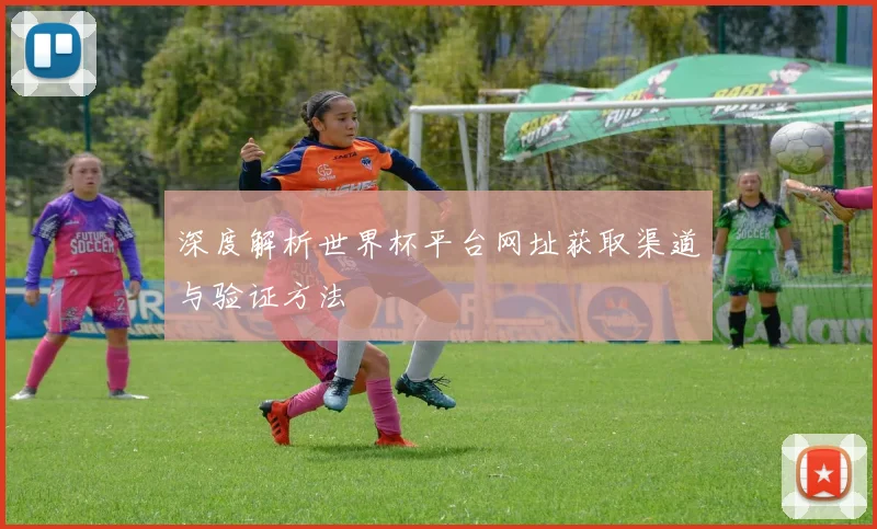 深度解析世界杯平台网址获取渠道与验证方法