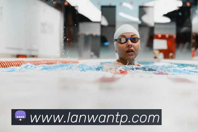 云开体育app官方下载平台生态图