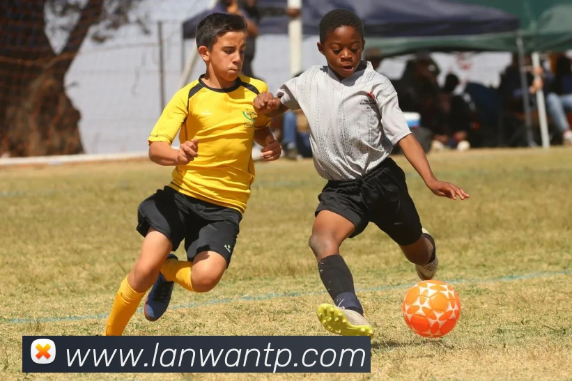 辅助工具 辅助工具